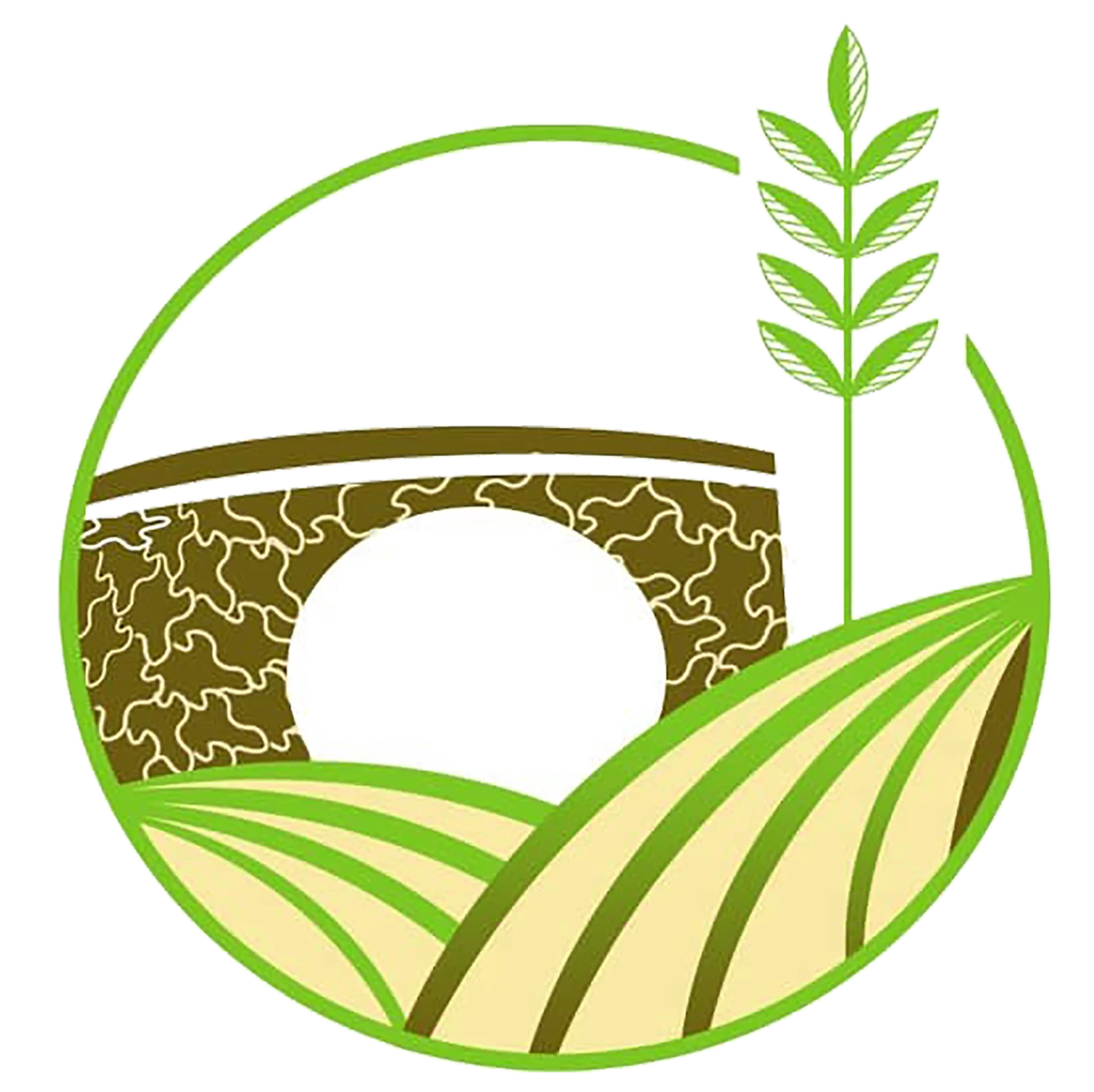 ongd-gye.org